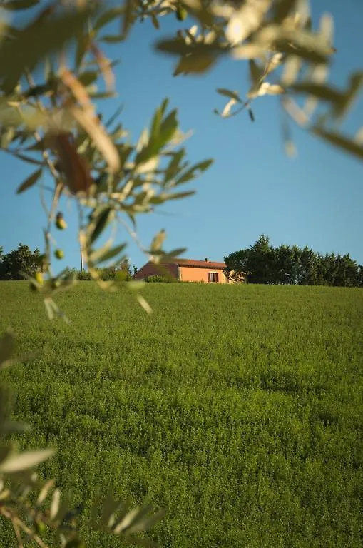 Farm stay Agriturismo Fossederi Pieve di Santa Luce Italy