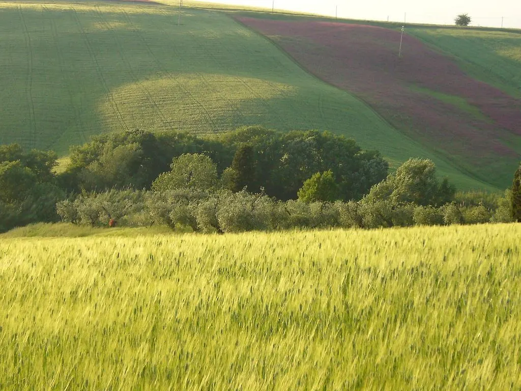 Farm stay Agriturismo Fossederi Pieve di Santa Luce