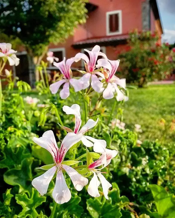 Agriturismo Fossederi Pieve di Santa Luce 0*,
